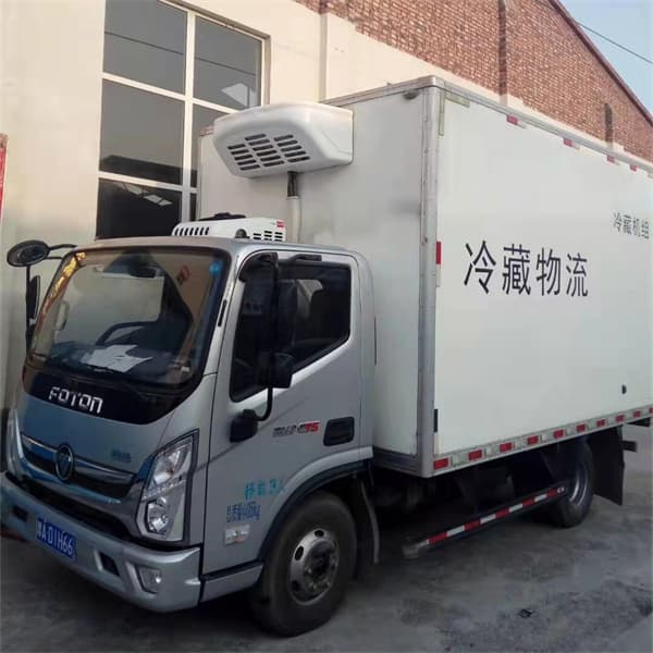 rooftop mounted truck freezer unit cold chain